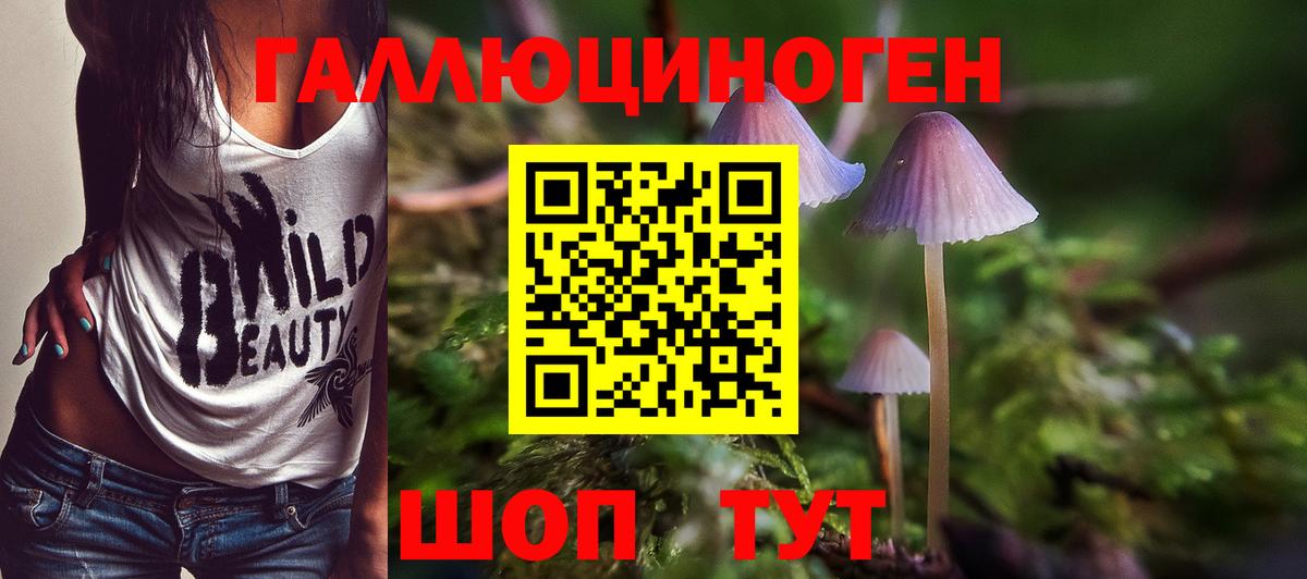 Похвистнево  цена наркотик  Вход с VPN  Псилоцибиновые грибы Cubensis 